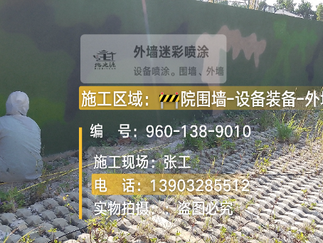 海东外墙迷彩漆材料价约 45-60 元 /k