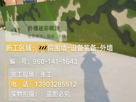 海东 迷彩漆喷涂价格（按平方米计费）