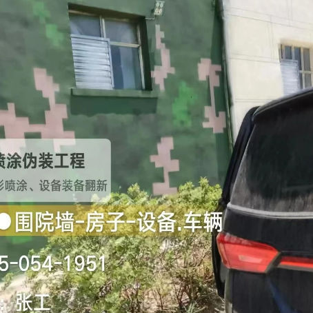 海东数码迷彩漆施工